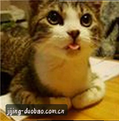 陈静